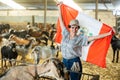 Happy young Latin female traveler waving Peruvian flag during visit to livestock goat farm