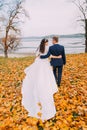 Happy young newlyweds walking on autumn lakeshore full of orange leaves Royalty Free Stock Photo