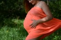 Happy young pregnant woman Royalty Free Stock Photo