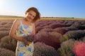 Happy young pretty woman walks at sunset in a lavender field with a bouquet in her hands and enjoys solitude with nature Royalty Free Stock Photo