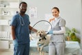 Happy young veterinary clinician and his assistant standing by patient