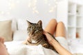 Happy young woman with cat lying in bed at home Royalty Free Stock Photo