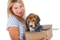 Woman holding beagle puppy in a box Royalty Free Stock Photo