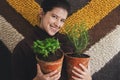 Happy young woman holding fresh green basil plant and rosemary plant in clay pots on background of rustic room. Repotting and Royalty Free Stock Photo