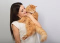 Happy young woman holding and hugging with love on the hands her red maine coon kitten and kissing. Closeup Royalty Free Stock Photo