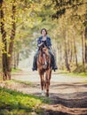 Happy young woman riding horse with cordeo in the morning in spring forest Royalty Free Stock Photo