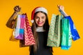 Happy young woman in Santa hat with colorful paper bags after shopping isolated Royalty Free Stock Photo