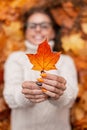 Happy young woman in a stylish knitted white sweater shows the camera a beautiful orange maple leaf. Joyful girl lies in autumn Royalty Free Stock Photo