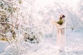 Happy young woman walks in forest among snow covered trees in sunny winter day Royalty Free Stock Photo