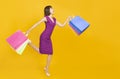 Happy young womanl holding shopping bags  and running Royalty Free Stock Photo