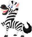 Happy zebra cartoon