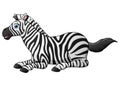 Happy zebra cartoon lay down