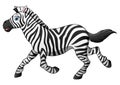 Happy zebra cartoon running