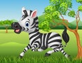Happy zebra running in the jungle