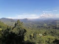 Haputale forest mountain srilanka