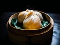 Har gau dramatic photography dark background,