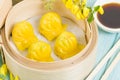 Har Gow Royalty Free Stock Photo