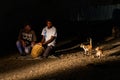 HARAR, ETHIOPIA - APRIL 8, 2019: Hyenas and cats in the streets of Harar, Ethiopia. They gather every evening on a