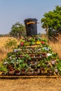 Harare, Zimbabwe, 10/10/2015: Entrant fot a Sustainable Food Growing Competition.