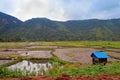 Harau Valley Royalty Free Stock Photo