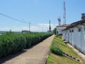 Harbor alley in Drobeta Turnu Severin