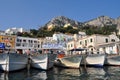 Harbor in Capri, Italy