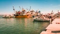 Harbor with commercial fishing boats in Didim, Turkey