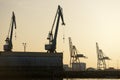 Harbor cranes at sunset Royalty Free Stock Photo