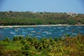 A harbor full of colorful boats in Candolim Royalty Free Stock Photo