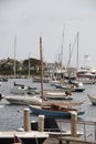 Harbor full of sailboats and yachts Royalty Free Stock Photo