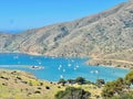 Harbor Haven: Teal Blue Waters with Boats Nestled Amidst Rolling Hills