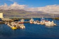 Harbor with many boats in the fishing village of Djupivogur