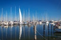 Harbor with many white sailing yachts in beautiful summer weather.