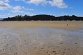 Harbor mud flats at low tide