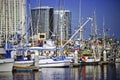 View of Harbor in San Diego