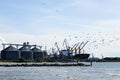 Harbor view with flock of flying birds, grain terminal silos, many shore cranes and bulk ship Royalty Free Stock Photo