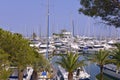 Harbor of Villeneuve-Loubet in France