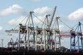 Harbour cranes Royalty Free Stock Photo