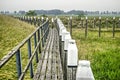 Harbour on dry land Royalty Free Stock Photo