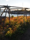 Harbour norway landscape.White nigts north summer. Royalty Free Stock Photo