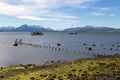 Harbour Puerto Natales, Patagonia