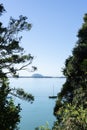 Harbour view from Gerald Crapp Reserve Omokoroa framed by green trees, New Zealand Royalty Free Stock Photo