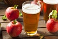 Hard Apple Cider Ale