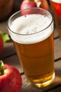 Hard Apple Cider Ale Royalty Free Stock Photo