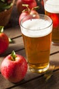 Hard Apple Cider Ale