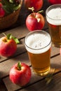 Hard Apple Cider Ale