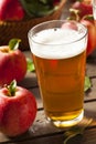 Hard Apple Cider Ale Royalty Free Stock Photo