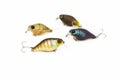 Hard baits lure like a fishing plugs or crankbaits for freshwater fishing, that imitate baitfish, with a short fat body, on a uni