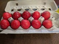 Hard boiled easter eggs in cartons