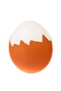 Hard boiled egg. Royalty Free Stock Photo